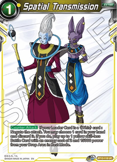 Spatial Transmission [BT12-118]